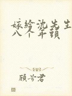 嫁给沈先生的第八个年头