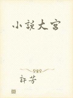 小说大宫