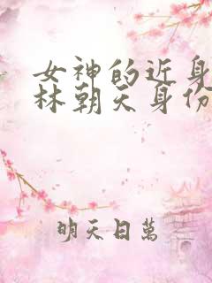 女神的近身护卫林朝天身份