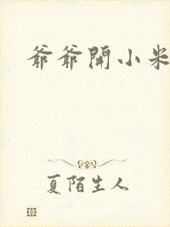 爷爷开小米的包