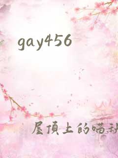 gay456