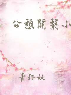 公憩关系小说