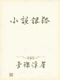 小说银狐