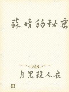 苏晴的秘密小说