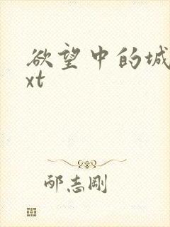 欲望中的城市txt