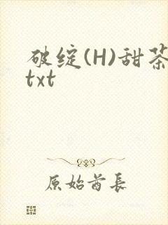 破绽(H)甜茶txt