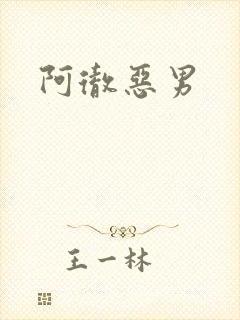 阿彻恶男