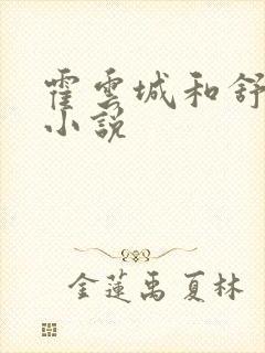 霍云城和舒情的小说