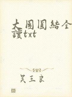 大团圆结全文阅读txt