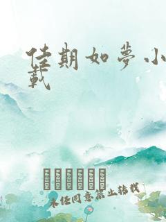 佳期如梦小说下载