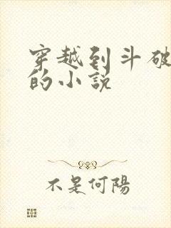 穿越到斗破苍穹的小说