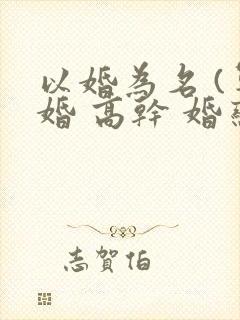 以婚为名 (军婚 高干 婚恋)