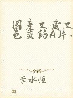 国产又黄又大又色爽的A片小说