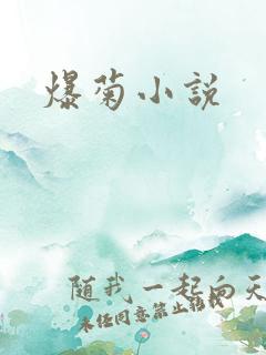爆菊小说
