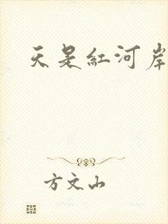 天是红河岸权谋