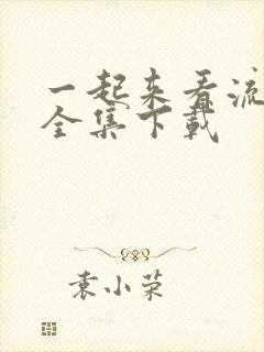 一起来看流星雨全集下载