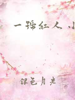 一号红人 小说