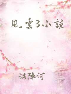 风云3小说