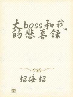 大boss和我的悲喜录