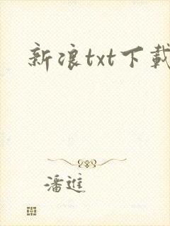 新浪txt下载
