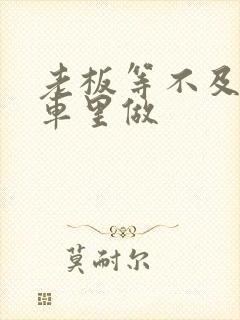 老板等不及了在车里做