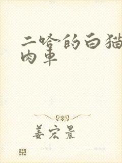 二哈的白猫师尊肉车