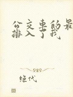 公交车的最后一排入了我