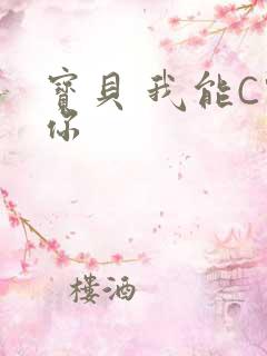 宝贝 我能C哭你