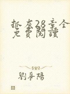 抓灰28章全部免费阅读