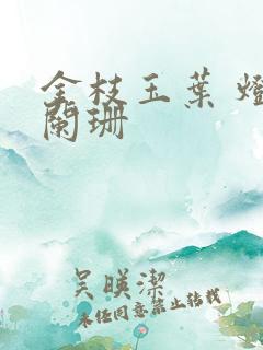 金枝玉叶 灯火阑珊