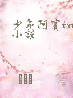 少年阿宾txt小说