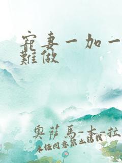 宠妻一加一老婆难做