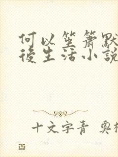 何以笙箫默之婚后生活小说