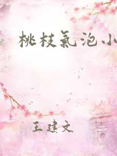 桃枝气泡小说