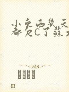 小东西几天没做都欠C了苏大深