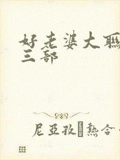 好老婆大联盟第三部