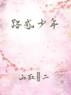 路感少年