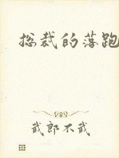 总裁的落跑情人