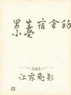 男生宿舍的公共小受