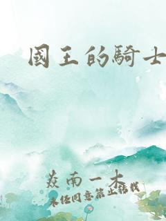 国王的骑士