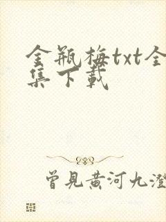 金瓶梅txt全集下载