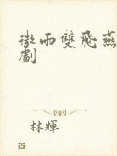 微雨双飞燕电视剧