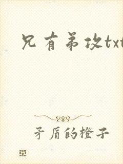 兄有弟攻txt