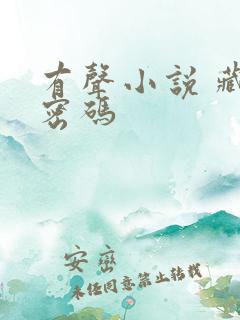 有声小说 藏地密码