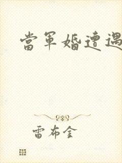 当军婚遭遇爱情