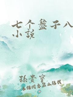 七个盘子八个碗小说