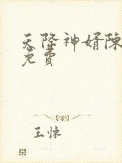 天降神婿陈黄皮免费