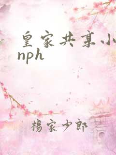 皇家共享小公主nph
