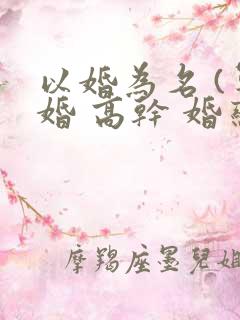 以婚为名 (军婚 高干 婚恋)