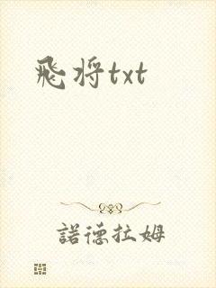 飞将txt